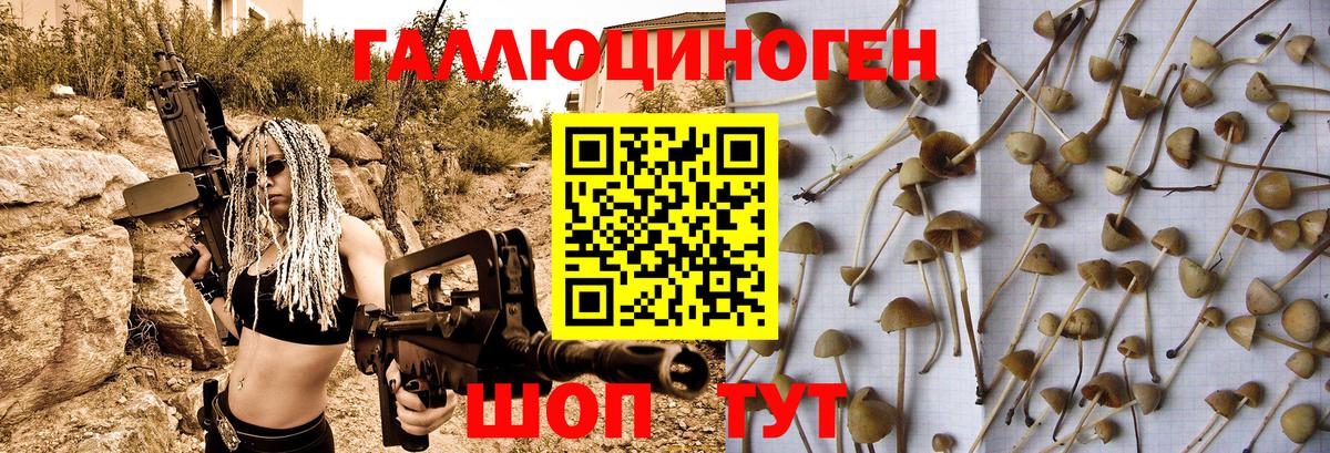 Псилоцибиновые грибы мухоморы  Вход с VPN  Южноуральск 